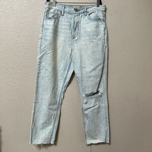American Eagle Outfitters Light Wash Distressed Jeans